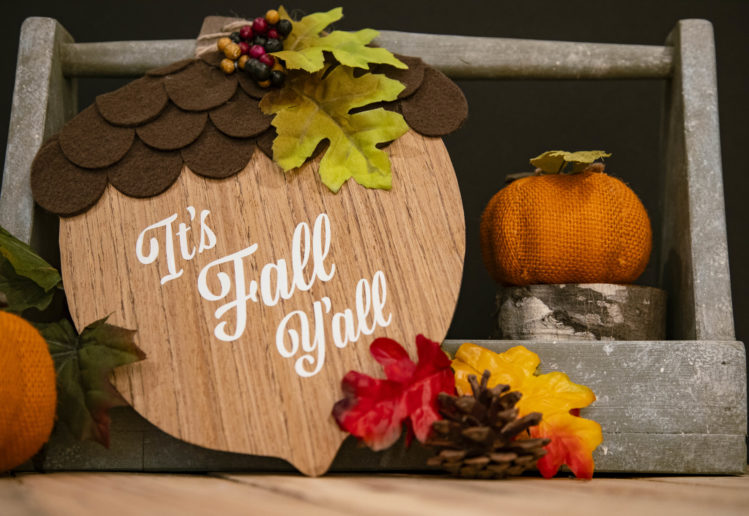 Easy Fall Decorating Dollar Store DIY Ideas: Fall Acorn Door Hanger by Olivia O'Hern