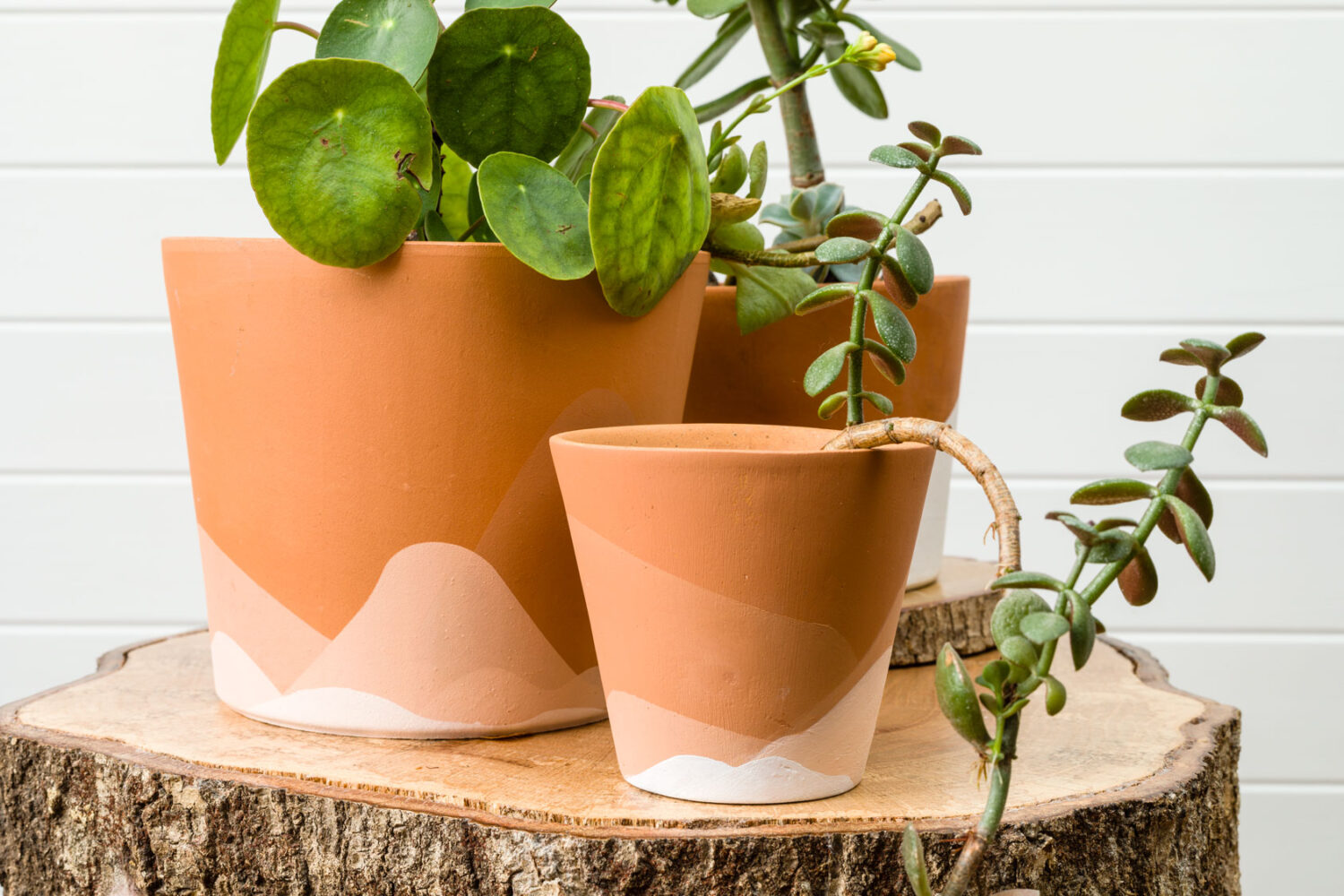 How to Dry Brush Painted Flower Pots - My Family Thyme