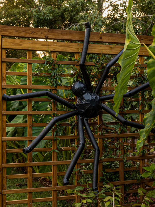 DIY Halloween Spider | Outdoor Halloween Decorations - Olivia OHern