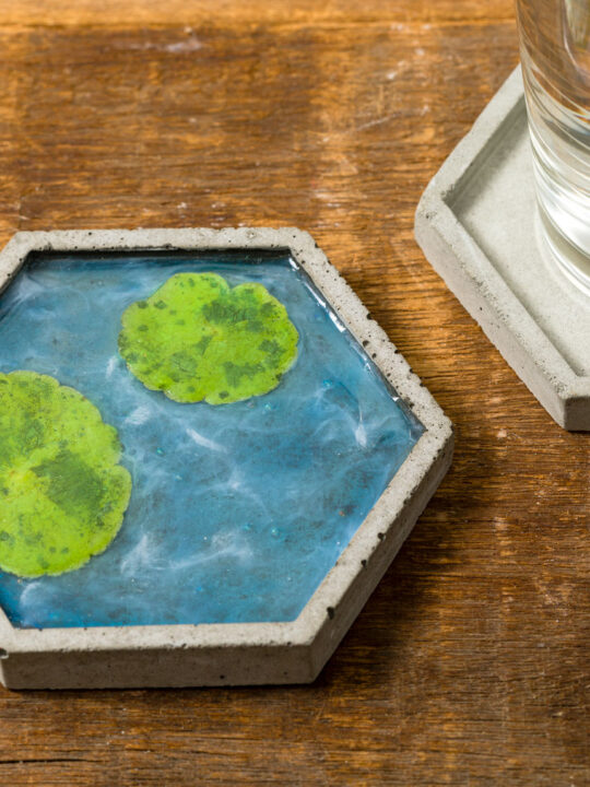 Koi Pond Resin Art Coaster Ideas